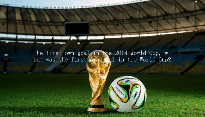 The first own goal in the 2014 World Cup, what was the first own goal in the World Cup?